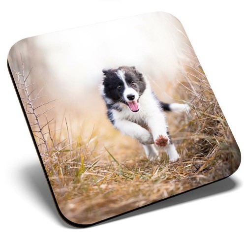 Square single coaster happy - ,