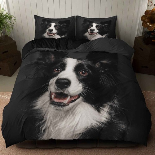 Cute border collie - cute,