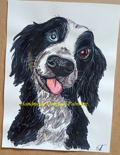Border collie dog portrait - border,