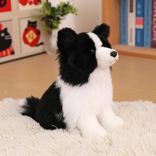 Dougles chase border collie - dougles,