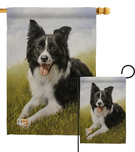 Border collie pets dog puppy - collie,