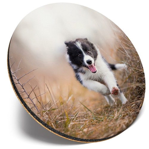 Round single coaster happy - single,