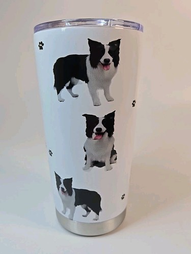 Border collie dog breed - border,
