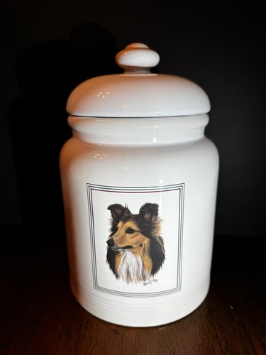 Robert may border collie - t,
