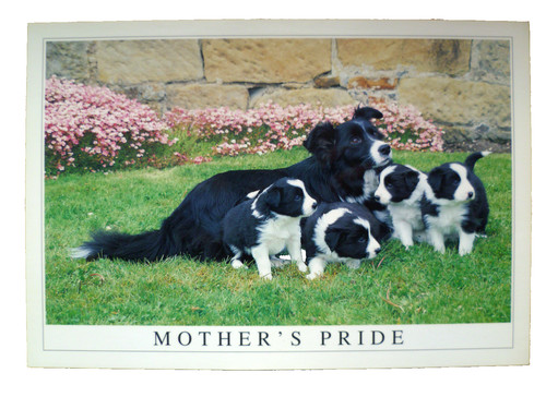 Vintage mother pride border - mother's,