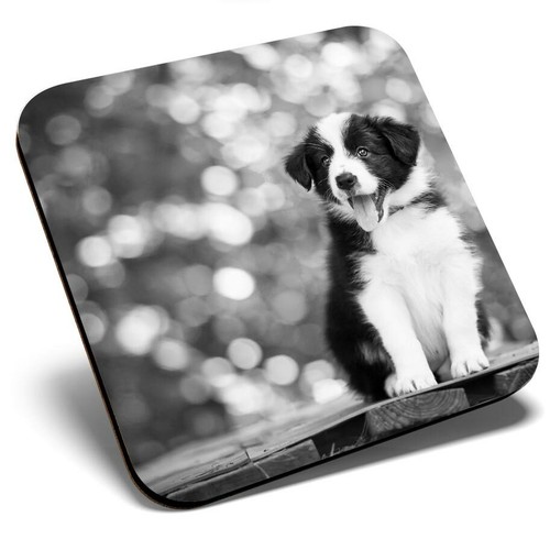 Square single coaster - coaster,