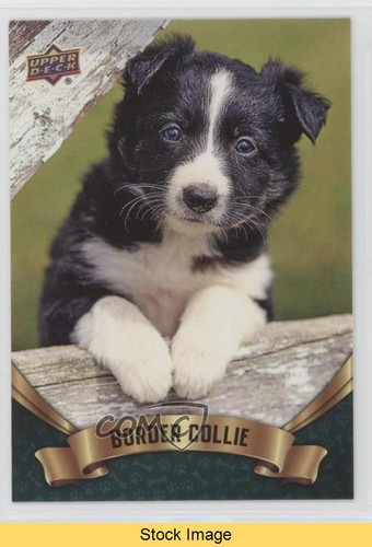 2018 upper deck canine - deck,