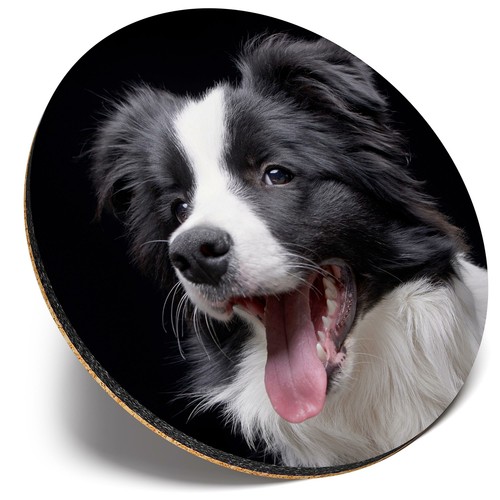Round single coaster border - -,