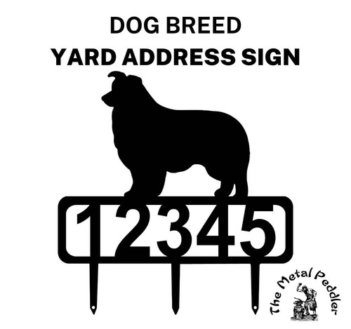 Border collie yard address - yard,