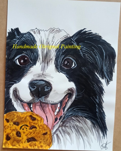 Border collie dog portrait - border,