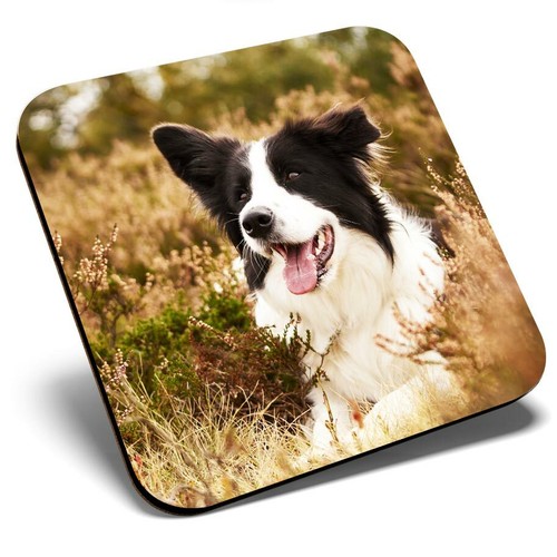 Square single coaster border - coaster,