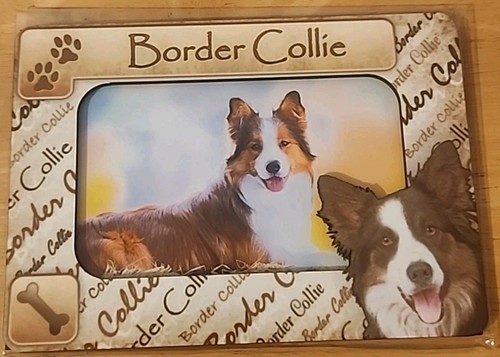 Magnetic border collie - border, 5"x7"