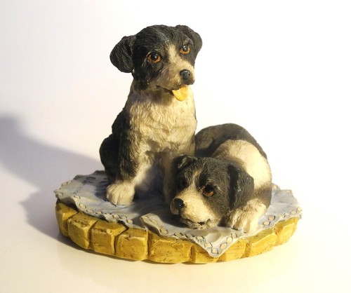Border collie pups leonardo - pups,