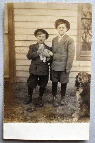 Two boys border collie dog - two,