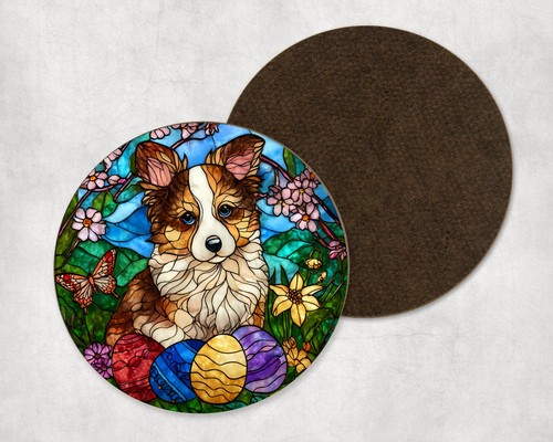 Border collie puppy - collie, egg