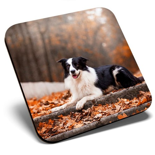 Square single coaster - coaster,
