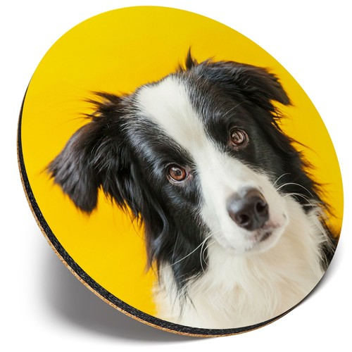 Round single coaster border - single,